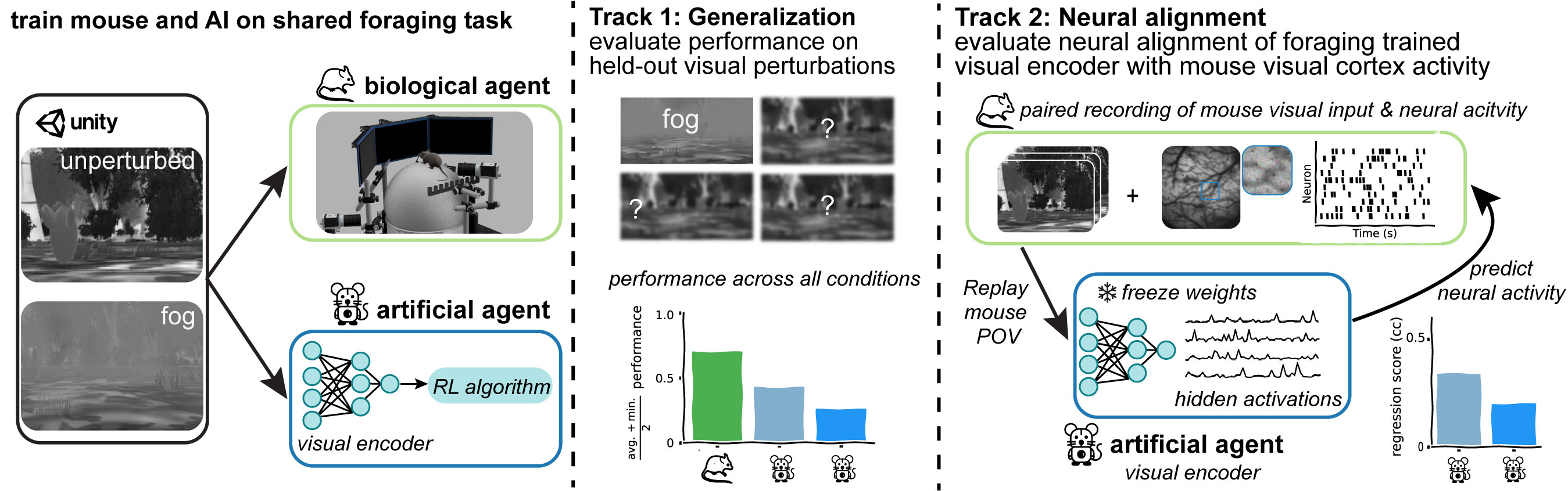 Overview of the Mouse-vs-AI competition…